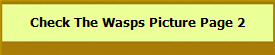 Check The Wasps Picture Page 2