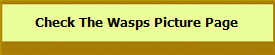 Check The Wasps Picture Page